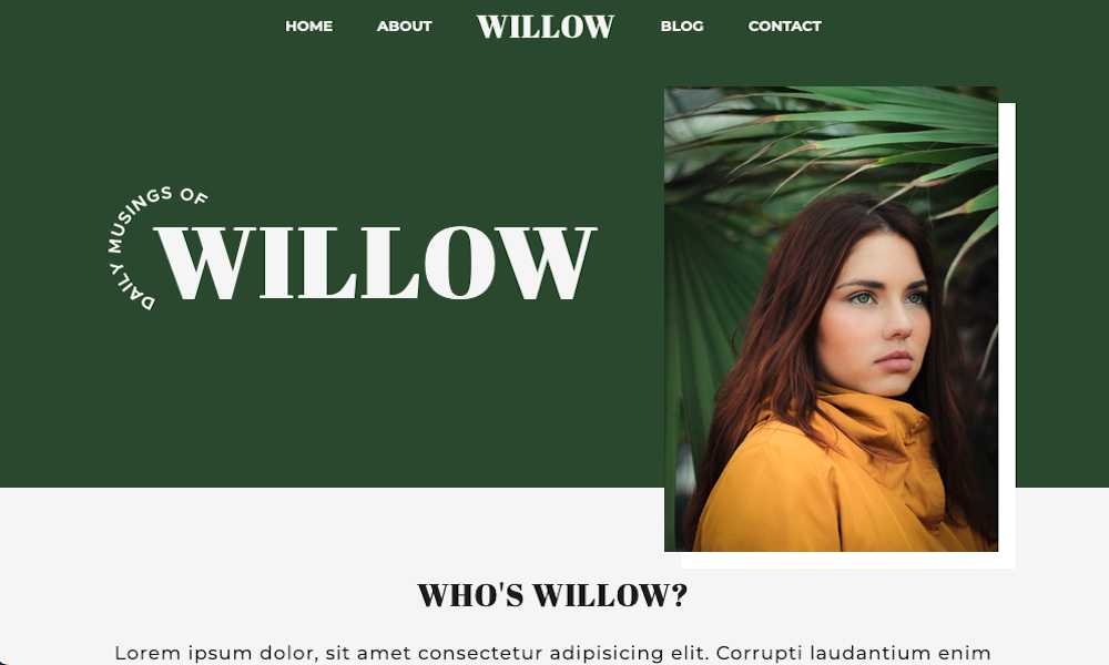 picture of Willow website built by Christian Yuen